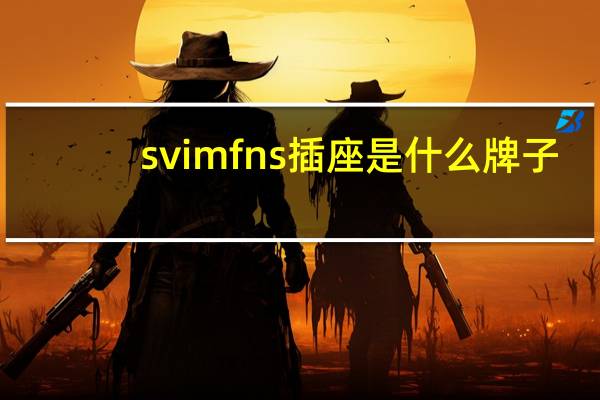 svimfns插座是什么牌子