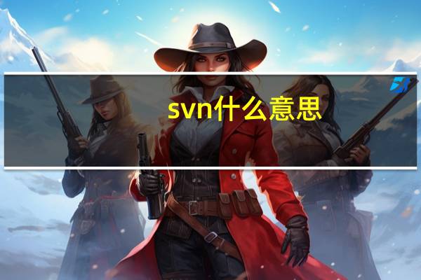 svn什么意思