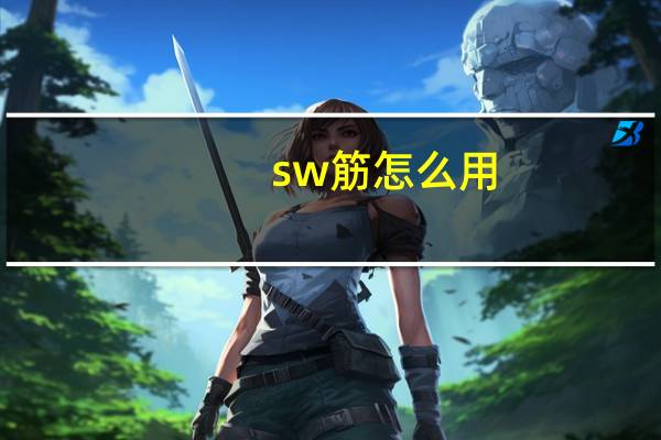 sw筋怎么用
