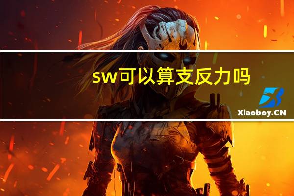sw可以算支反力吗