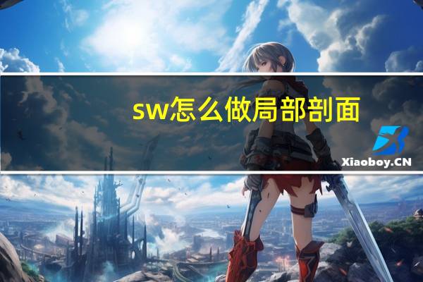 sw怎么做局部剖面