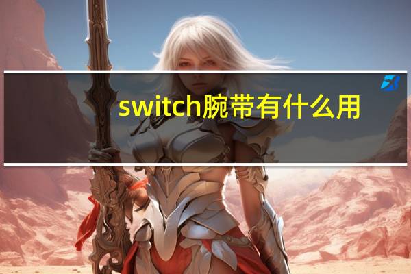 switch腕带有什么用