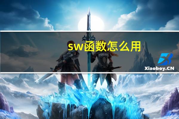 sw函数怎么用