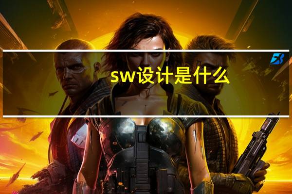 sw设计是什么