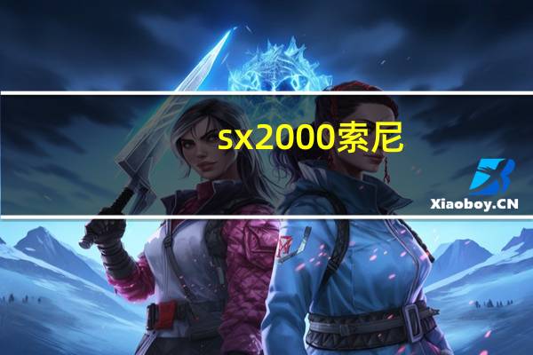 sx2000索尼（sx200）