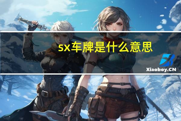 sx车牌是什么意思