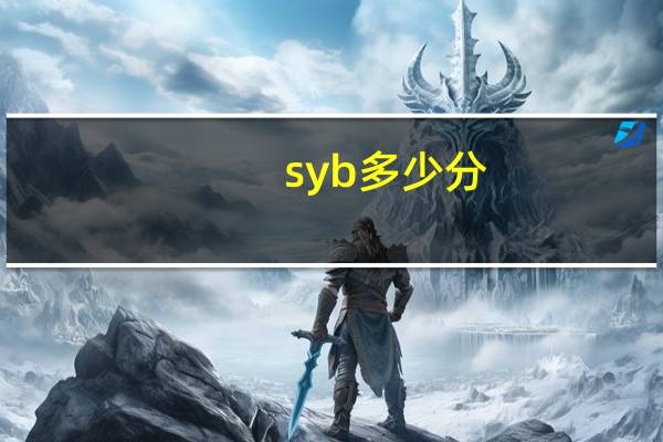 syb 多少分