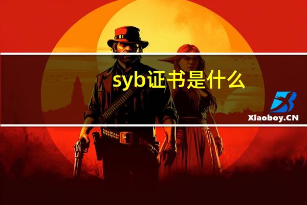 syb证书是什么