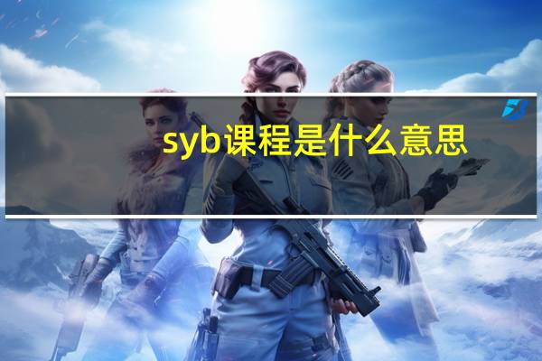 syb课程是什么意思