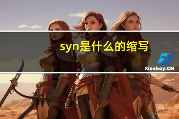 syn是什么的缩写（syn）