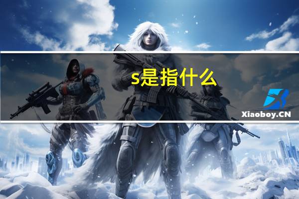 s是指什么