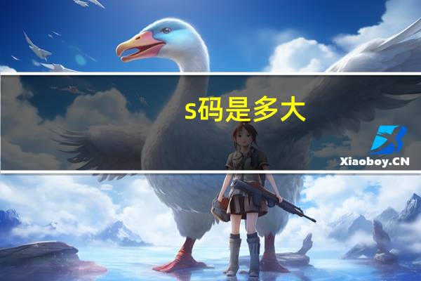 s码是多大