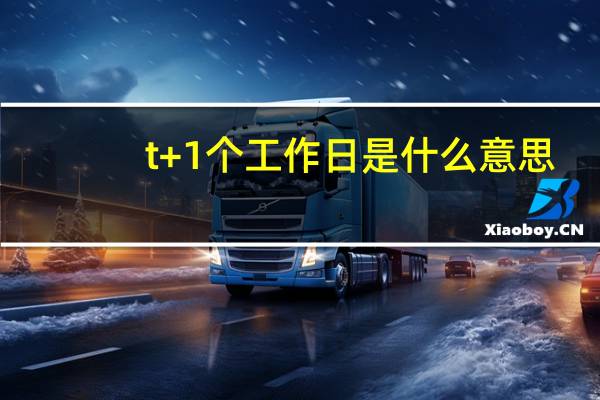 t+1个工作日是什么意思（工作日是什么意思）