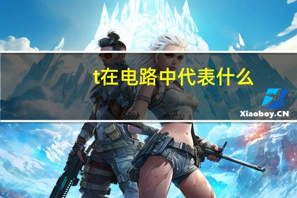 t在电路中代表什么