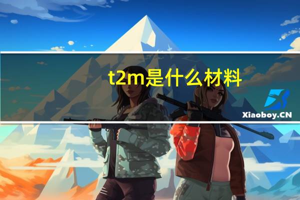 t2m是什么材料