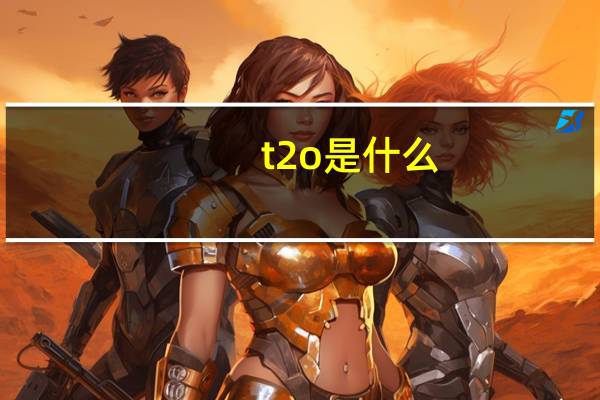 t2o是什么