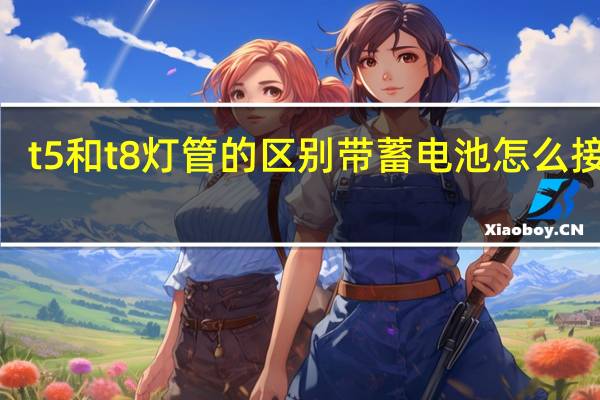 t5和t8灯管的区别带蓄电池怎么接线q(t5和t8灯管的区别)