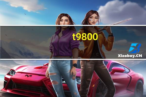 t 9800（关于t 9800的介绍）