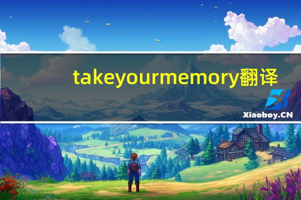 take your memory 翻译
