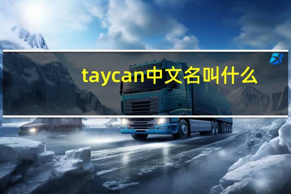taycan中文名叫什么（taycan中文名）