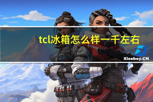 tcl冰箱怎么样一千左右(tcl冰箱怎么样)
