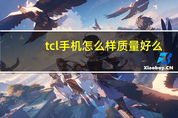 tcl手机怎么样质量好么（tcl手机怎么样）