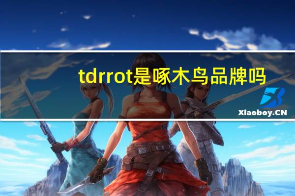tdrrot是啄木鸟品牌吗