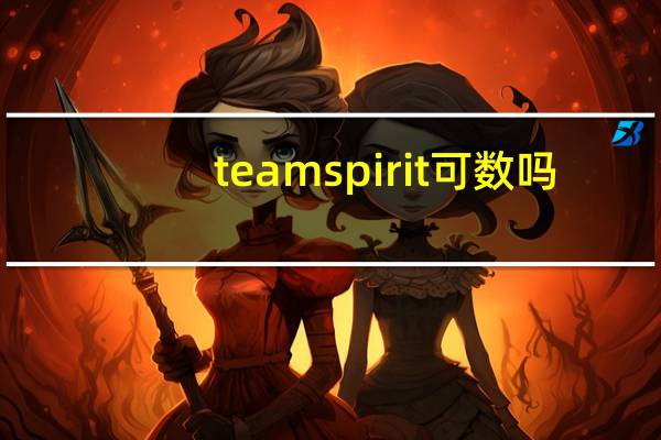 team spirit可数吗