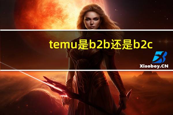 temu是b2b还是b2c