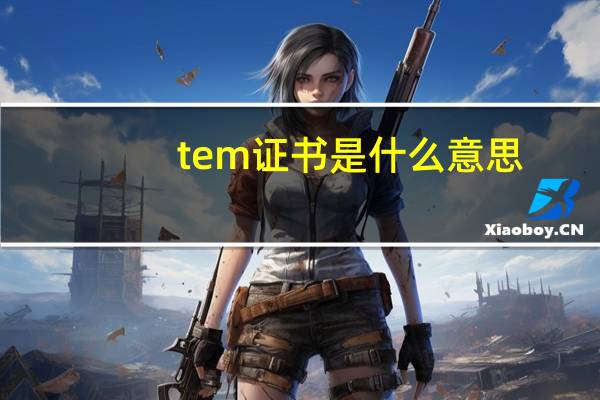 tem证书是什么意思