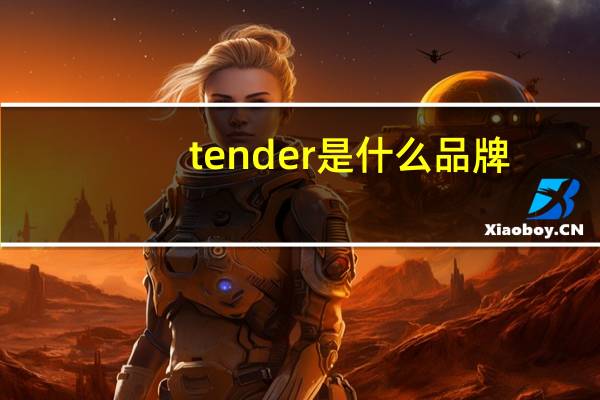 tender是什么品牌