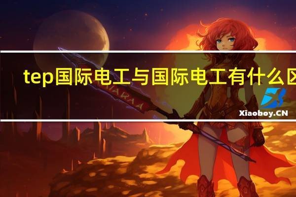 tep国际电工与国际电工有什么区别