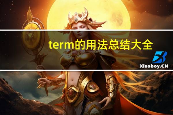 term的用法总结大全