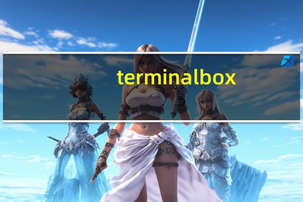 terminal box(terminal.exe)