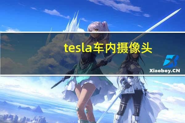 tesla车内摄像头