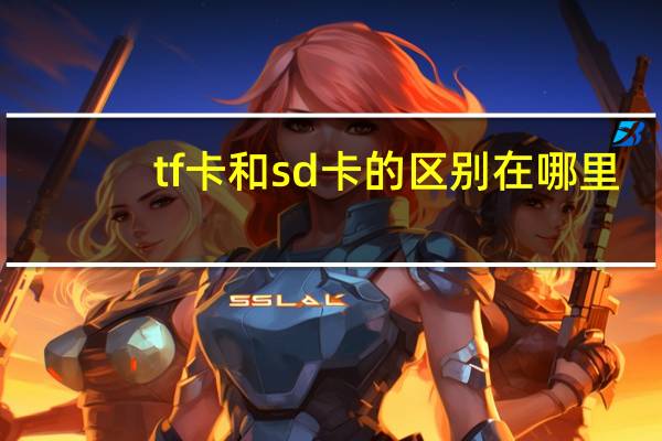 tf卡和sd卡的區別在哪里（tf卡和sd卡的區別）