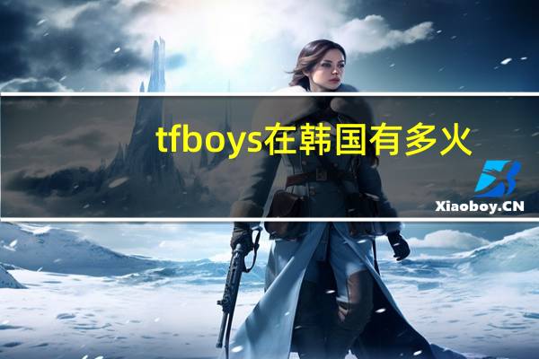 tfboys在韩国有多火