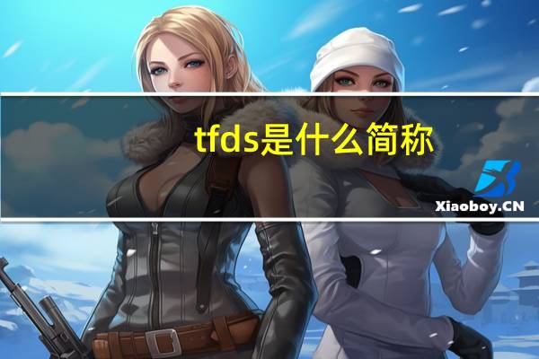 tfds是什么简称