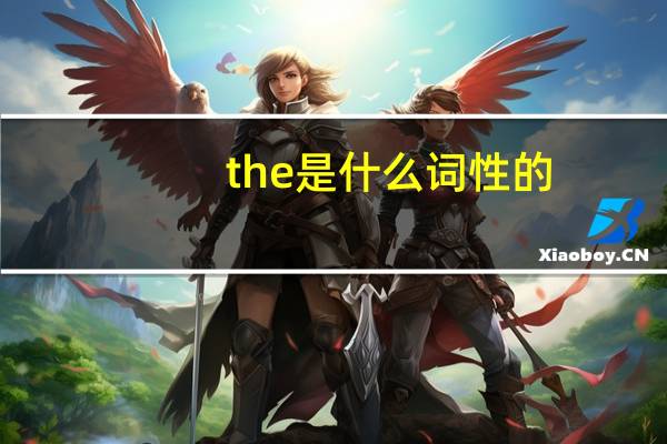 the是什么词性的