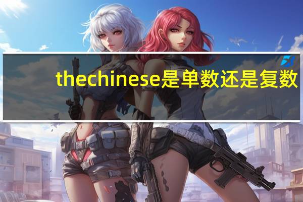 the chinese是单数还是复数