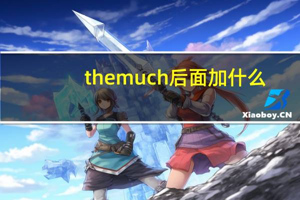 the much后面加什么