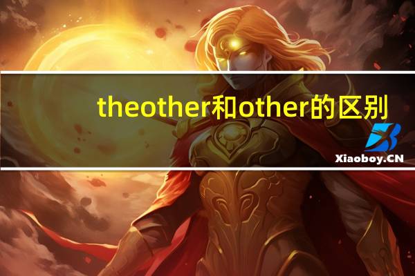 the other和other的区别