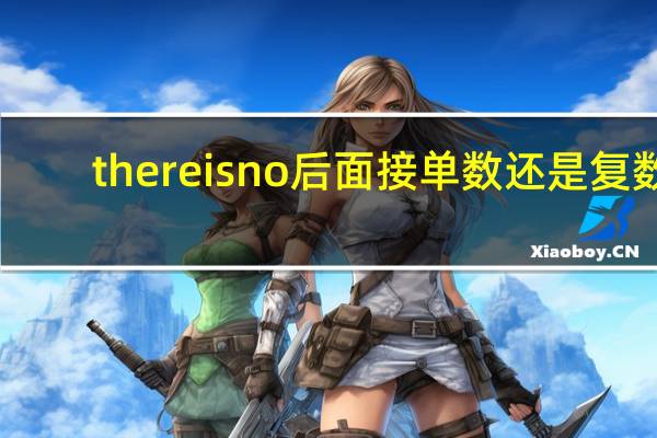 there is no后面接单数还是复数