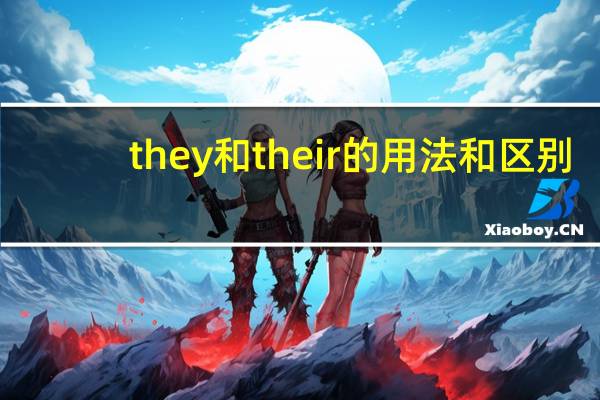 they和their的用法和区别
