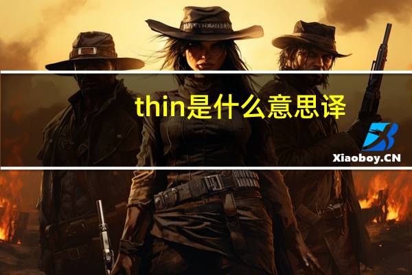 thin是什么意思译