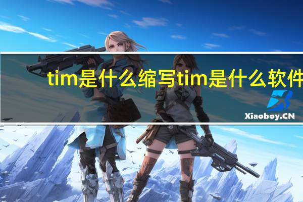 tim是什么缩写 tim是什么软件