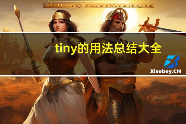 tiny的用法总结大全