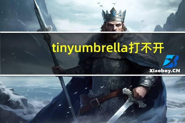 tinyumbrella打不开（tinyumbrella怎么用）