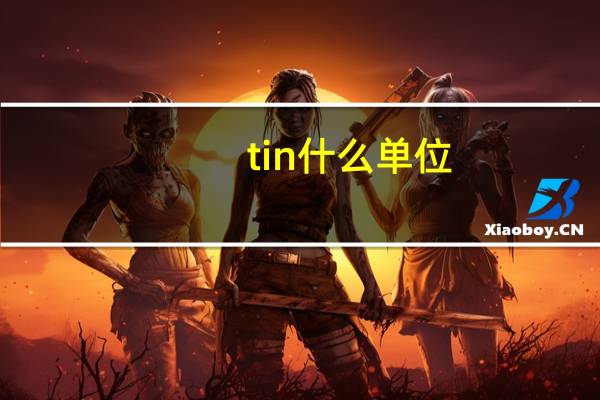 tin什么单位