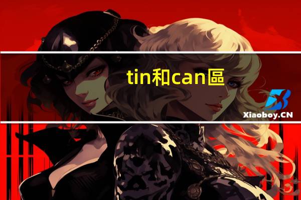 tin和can區(qū)別